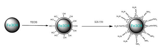 Amino Functionalized Magnetic Silica Beads