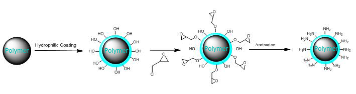 Amino Treated Magnetic Polystyrene Microspheres