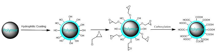 Carboxyl functionalized magnetic polystyrene beads