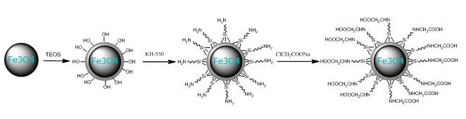 Carboxyl functionalized magnetic silica beads Carboxyl functionalized magnetic silica beads