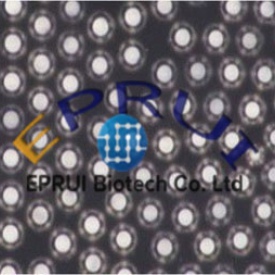 conductive-Ni-particles Conductive Ni Particles