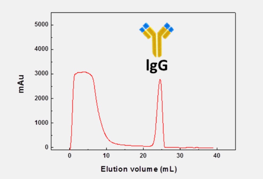 eprui protein a media used in hIgg purification from human serum EPRUI protein a media used in hIgg purification from human serum