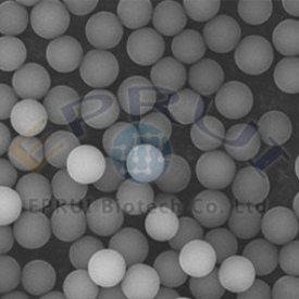 PMMA Microspheres