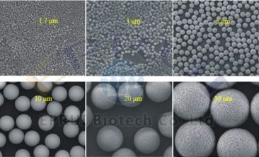 Silica Gel Chromatography