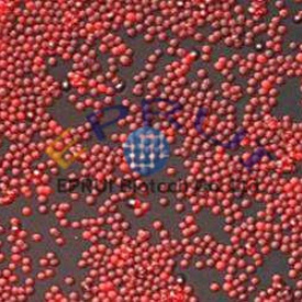 Red Fluorescent Polystyrene Microspheres