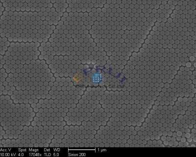 Size Standard Particles