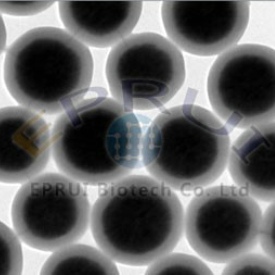 Amino Magnetic Silica Beads