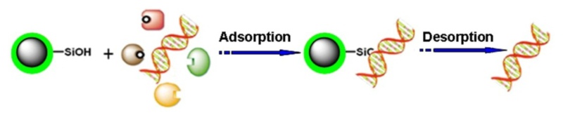 DNA Purification Silica Magnetic Beads DNA Purification Silica Magnetic Beads