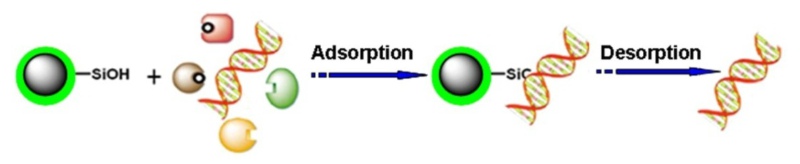 DNA Purification Silica Magnetic Beads