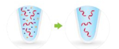 Viral RNA Extraction