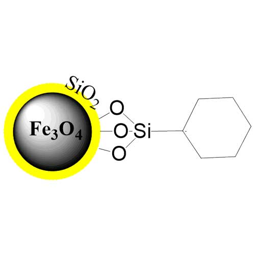 Cyclohexane Silica Magnetic Beads