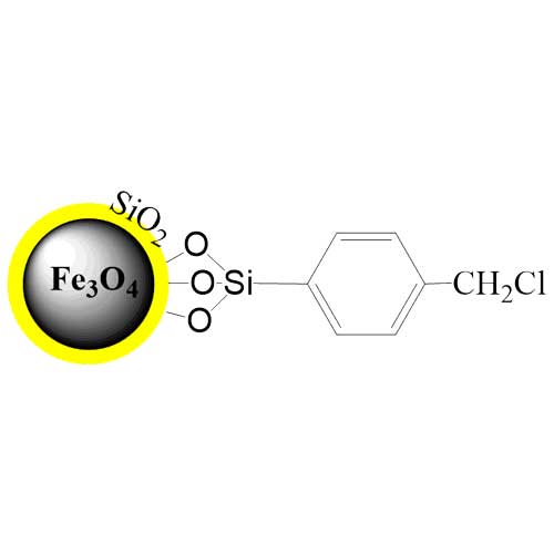 Benzylchloride Silica Magnetic Beads