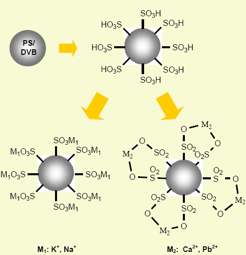 PS/DVB Sulfonation Process
