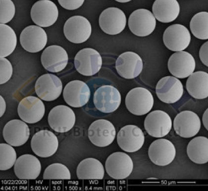 Sulfonated Polystyrene Microspheres
