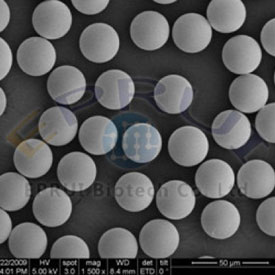 Sulfonated Polystyrene Microspheres