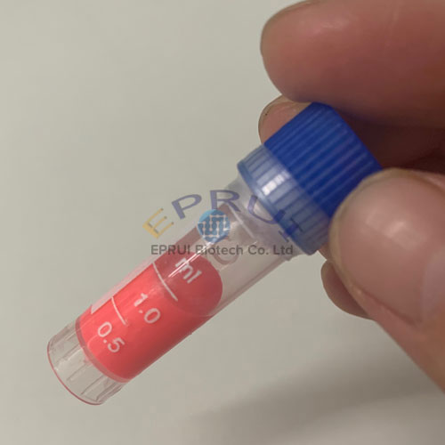 Red Fluorescent Polystyrene Microspheres