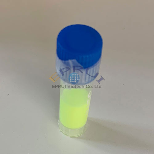 green fluorescent PS microspheres