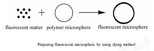 preparing fluorescent microspheres by using dying method