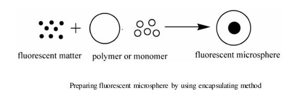 preparing fluorescent microspheres by using encapsulating method