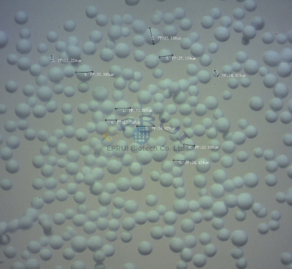 Hydroxyapatite Microspheres