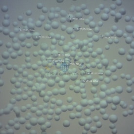 Hydroxyapatite Microspheres