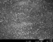 magentic silica beads