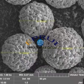 Porous Beta TCP