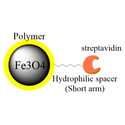 Streptavidin Magnetic Beads