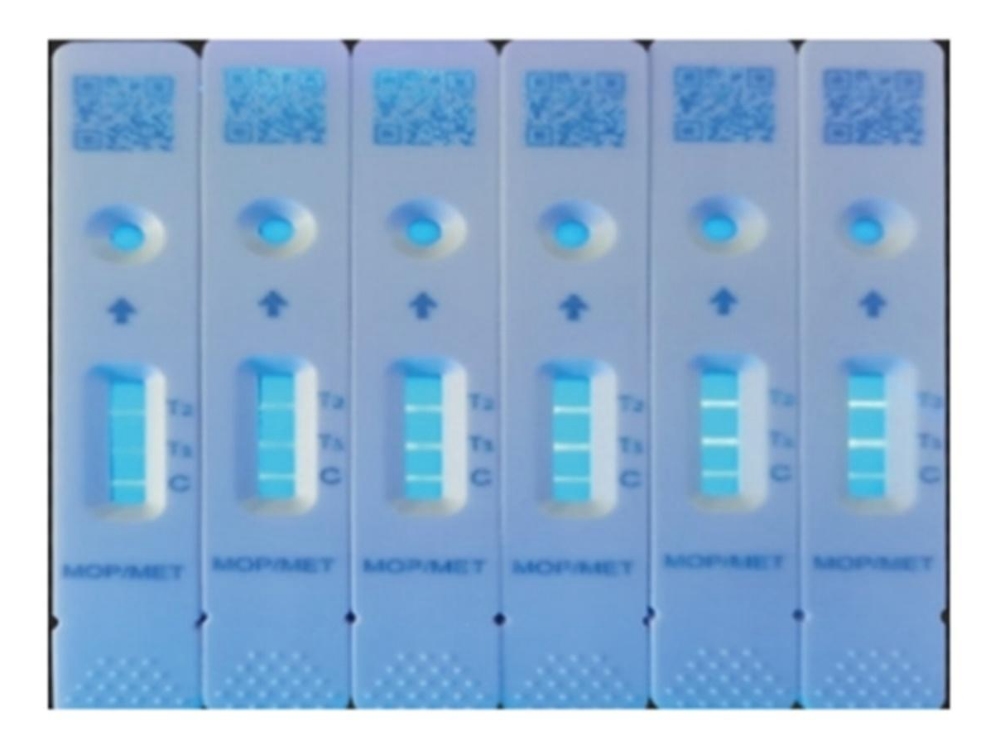 Drug Duo Combo Test Strip